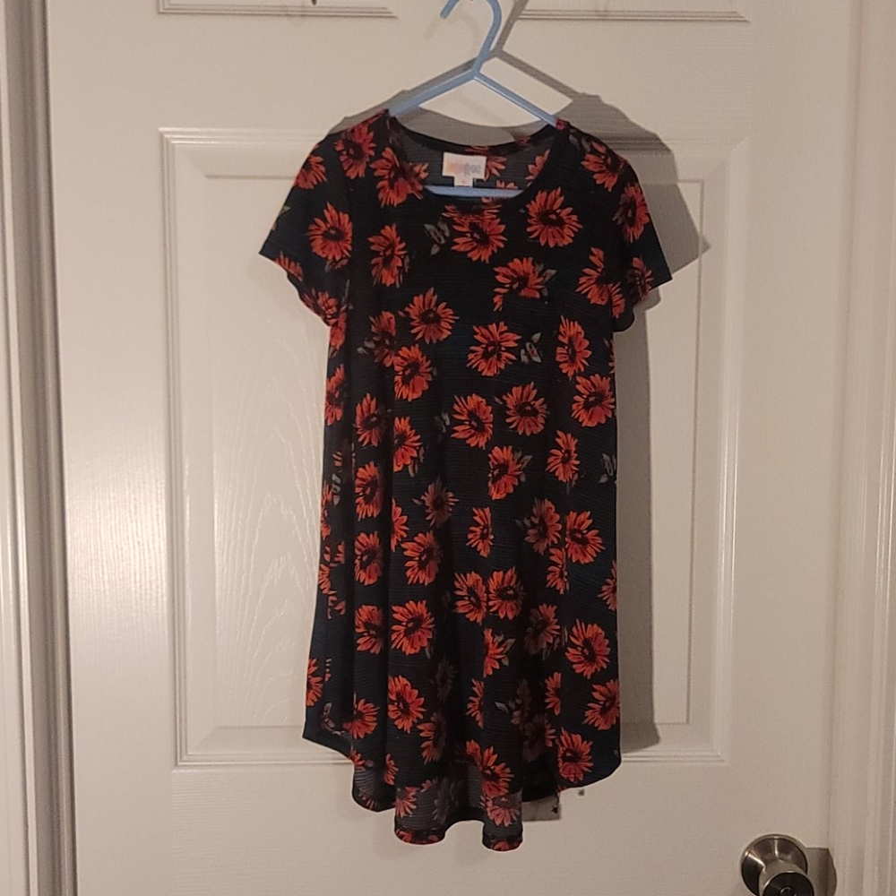Lularoe scarlett dress